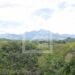 RECHERCHES – Plus de 25 000 publications scientifiques sur la biodiversité de Madagascar  depuis 1990