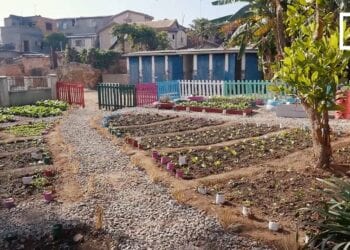 RECYCLAGE – Du biogaz et du compost issus de boues de vidange pour la cantine scolaire d&rsquo;Antanjombe Nord