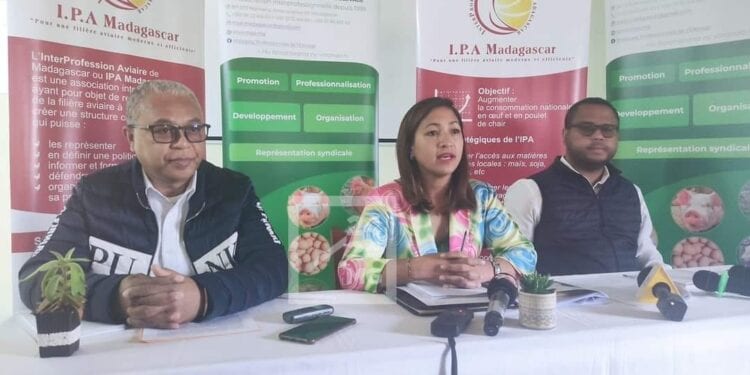 ELEVAGE – L’Etat autorise l’importation de 45 000 tonnes de maïs non concassé par les professionnels de l&rsquo;élevage pour pallier la baisse de la production locale et la hausse des prix sur le marché local