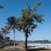 VACANCES – Sur les plages de Fort-Dauphin