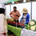 ÉVÉNEMENT – La Foire Internationale de l’Agriculture revient pour sa cinquième édition