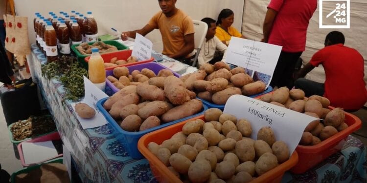 EVENEMENT – Trois jours pour découvrir le monde rural et l’artisanat de la région Analamanga à la Foire Analamanga