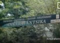 Cinq aires protégées des Forêts sèches de l’Andrefana rejoignent le Parc national du Tsingy de Bemaraha sur la liste du patrimoine mondial naturel de l’Unesco