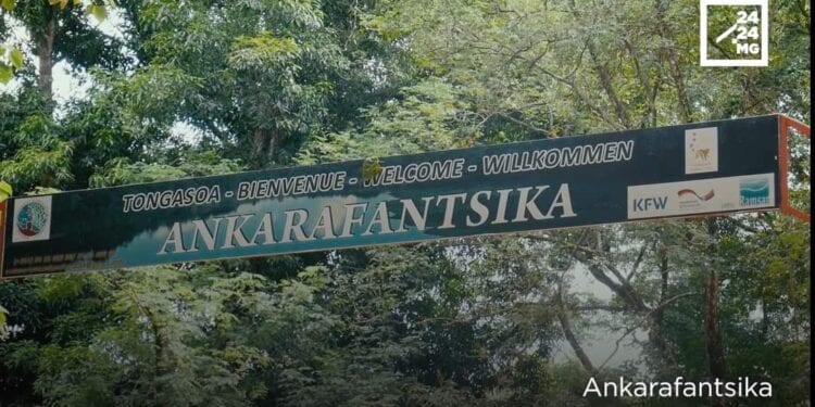 Cinq aires protégées des Forêts sèches de l’Andrefana rejoignent le Parc national du Tsingy de Bemaraha sur la liste du patrimoine mondial naturel de l’Unesco