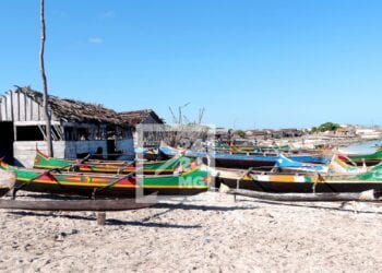 SECURITE ALIMENTAIRE – Rendre les gens autonomes de manière permanente reste un grand défi dans le Sud de Madagascar, selon la Banque mondiale
