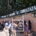 TOURISME – Trois circuits touristiques balisés mis en place au sein du Parc botanique et zoologique de Tsimbazaza