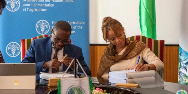 DEVELOPPEMENT RURAL – Madagascar promeut les cultures sans déforestation dans les régions d&rsquo;Amoron’i Mania, de Vatovavy Fitovinany et d&rsquo;Atsimo Atsinanana