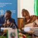 DEVELOPPEMENT RURAL – Madagascar promeut les cultures sans déforestation dans les régions d’Amoron’i Mania, de Vatovavy Fitovinany et d’Atsimo Atsinanana