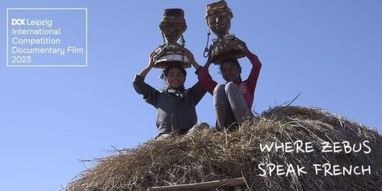 DOCUMENTAIRE – Where Zebus Speak French fait sa première internationale au Dok Leipzig