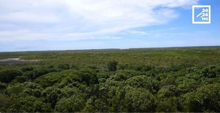 STOCK DE RESSOURCES – La richesse totale de Madagascar composée à environ 30% par son capital naturel