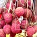COMMERCE – Le prix de vente minimum du litchi aux exportateurs fixé à 1 300 ariary le kilo dans l’Atsinanana et l’Analanjirofo