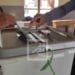 ELECTION PRESIDENTIELLE – Transparency International Initiative Madagascar s&rsquo;indigne de l&rsquo;inaction de la communauté internationale 