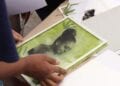 MOIS DE LA PHOTO – Le festival Sar’nao pour découvrir la photographie à la chlorophylle