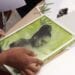 MOIS DE LA PHOTO – Le festival Sar&rsquo;nao pour découvrir la photographie à la chlorophylle