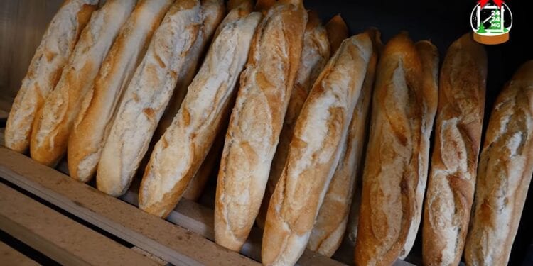 ALIMENTATION – Bien choisir son pain pour chaque repas