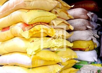 CONSOMMATION – La quantité de riz importés durant les dix premiers mois de l’année passe de 599 603 tonnes en 2022 à 370 510 tonnes en 2023