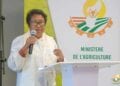 AGRICULTURE – Un financement de plus de 11 milliards d’ariary de l’Usaid pour la promotion de la culture de variétés améliorées de sorgho, de millet et d’arachide