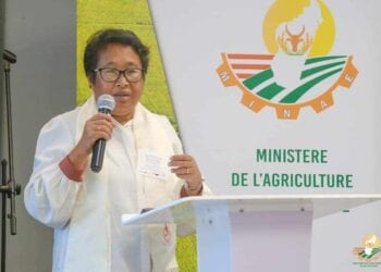 AGRICULTURE – Un financement de plus de 11 milliards d’ariary de l’Usaid pour la promotion de la culture de variétés améliorées de sorgho, de millet et d’arachide