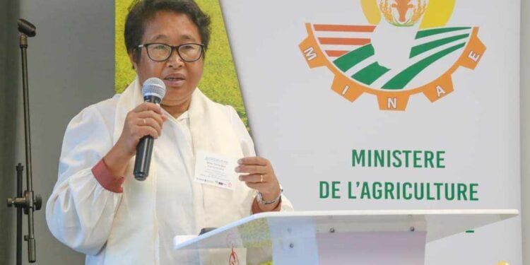 AGRICULTURE – Un financement de plus de 11 milliards d&rsquo;ariary de l&rsquo;Usaid pour la promotion de la culture de variétés améliorées de sorgho, de millet et d’arachide