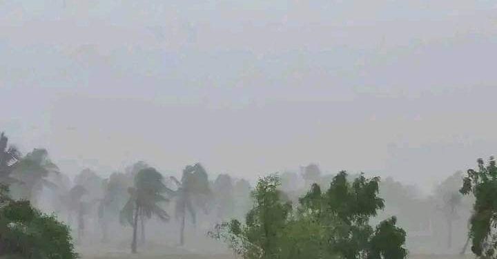 MOROMBE – Des élèves contraints de suivre leurs cours sous les arbres en plein air
