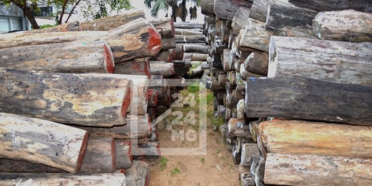 Le gouvernement dit négocier avec la Tanzanie pour le rapatriement des bois de rose saisis au Kenya en 2014