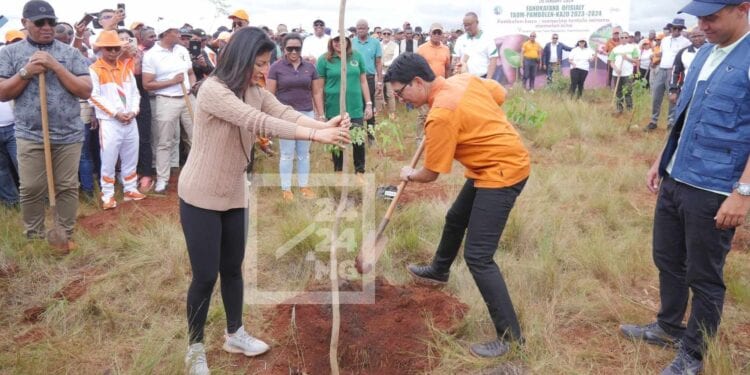 REBOISEMENT NATIONAL – 4 millions d’hectares à atteindre d’ici 2030