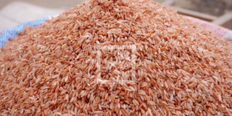 INFLATION – Le prix du riz s’est renchéri de 10,2% en une année, selon la Banky foiben’i Madagasikara