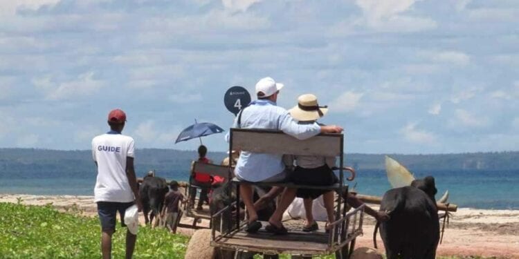 Plus de 22.000 touristes arrivés à Madagascar sur les deux premiers mois de 2024