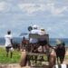 Plus de 22.000 touristes arrivés à Madagascar sur les deux premiers mois de 2024