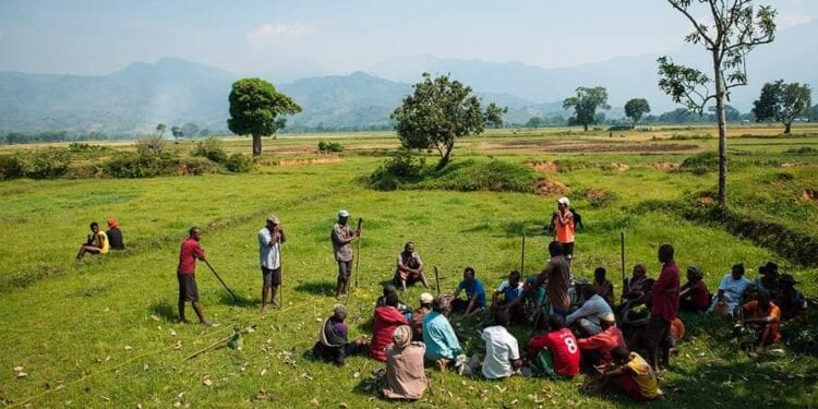 Près de 3,4 millions d’hectares de ressources naturelles gérés par des communautés de base à Madagascar