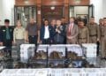 WWF Madagascar appelle à une enquête approfondie après la saisie de plus 1 000 tortues radiées et de 48 lémuriens provenant de Madagascar en Thaïlande