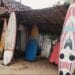 SPORT EXTREME – Dah et le surf, ou comment chevaucher les vagues d’une tempête