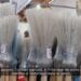 MAISON – Le « kifafa tout terrain » pour recycler ses bouteilles plastiques et remplacer ses balai traditionnels