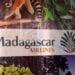 Madagascar Airlines :  150 vols programmés en un mois et demi avec des tarifs préférentiels