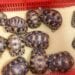 BIODIVERSITE – Des tortues saisies à l&rsquo;étranger mortes avant leur rapatriement à Madagascar, selon le ministère de l&rsquo;Environnement