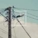ENERGIE – La Jirama annonce deux heures de délestages par jour entre 9h du matin et 17h à Antananarivo
