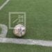 FOOTBALL – Les 22 ligues régionales toutes représentées au championnat national féminin