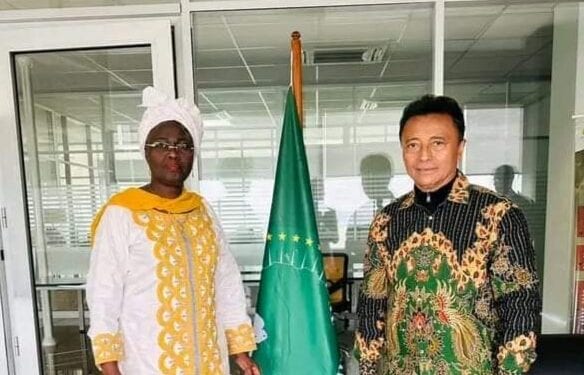 COMMUNALES – La représentante de l’Union Africaine indique ne pas pouvoir prendre position sur la situation de Marc Ravalomanana