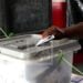 COMMUNALES – La CENI rassure sur l&rsquo;arrivée des imprimés sensibles à Madagascar avant le 19 novembre