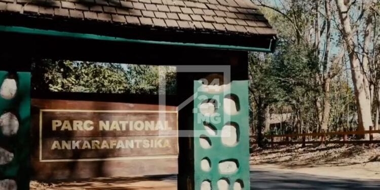 BIODIVERSITE – Un consortium des bailleurs pour soutenir la préservation à long terme du parc national d’Ankarafansika