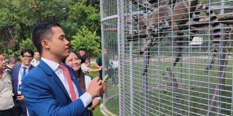 ENVIRONNEMENT – Une première vague des tortues et lémuriens de Madagascar saisis en Thaïlande attendue ce vendredi