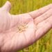 PROJET DE LOI DE FINANCES – Une prévision de 573 milliards ariary d’investissement pour l’achat de semences de riz hybride