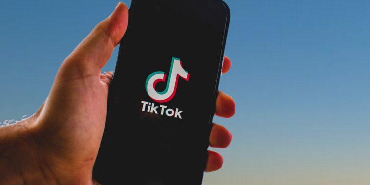 ETATS-UNIS – TikTok demande à la Cour suprême américaine de bloquer son interdiction imminente