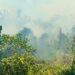 CATASTROPHE – Le gouvernement n’écarte pas la location d’un Canadair pour faire face aux feux qui ravagent les forêts malgaches