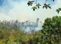 ENVIRONNEMENT – Les points de feux de retour dans la partie Est de Madagascar