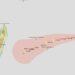 METEO – Une autre tempête tropicale en cours de formation à moins de 3 000 km des côtes Nord Est de Madagascar