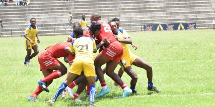 RUGBY A SEPT – Les Makis hommes en regroupement depuis mercredi pour la préparation du World Challenger Series 2025