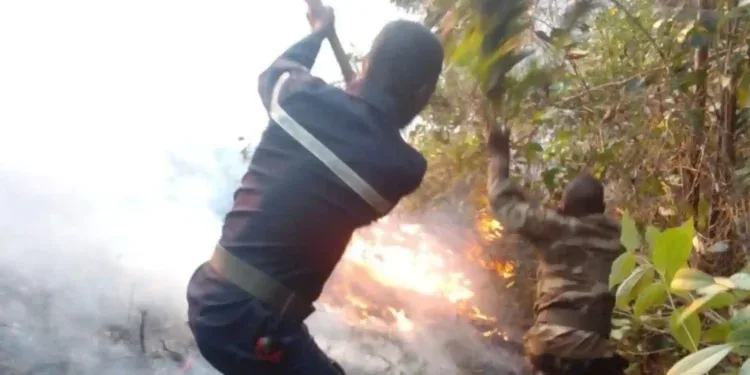 INCENDIE – 867 hectares brûlés dans la région Fitovinany en deux mois, six personnes en détention préventive