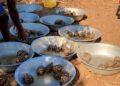 Les autorités rapportent l’interpellation en Tanzanie de deux ressortissants chinois soupçonnés d’importation de tortues