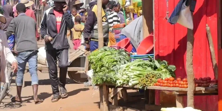 ECONOMIE – Le travailleur malgache trois fois moins productif que la moyenne en Afrique subsaharienne, selon la Banque mondiale